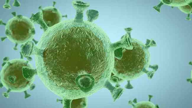 Obrázek: Sledování původu COVID-19 má velký význam a je pro společné dobro všech lidí. /CFP<br><br>